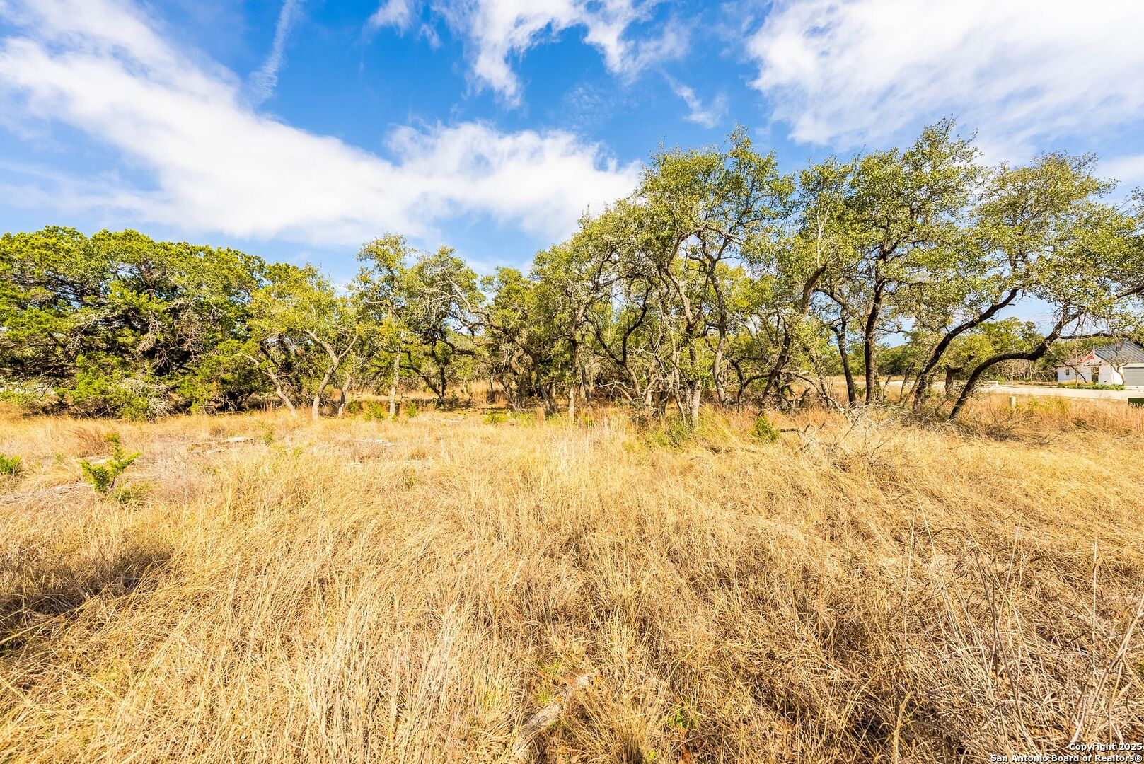 640 Annabelle Avenue Bulverde TX 78163