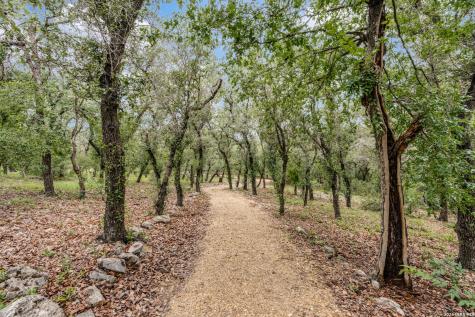 26206 Lewis Ranch New Braunfels TX 78132