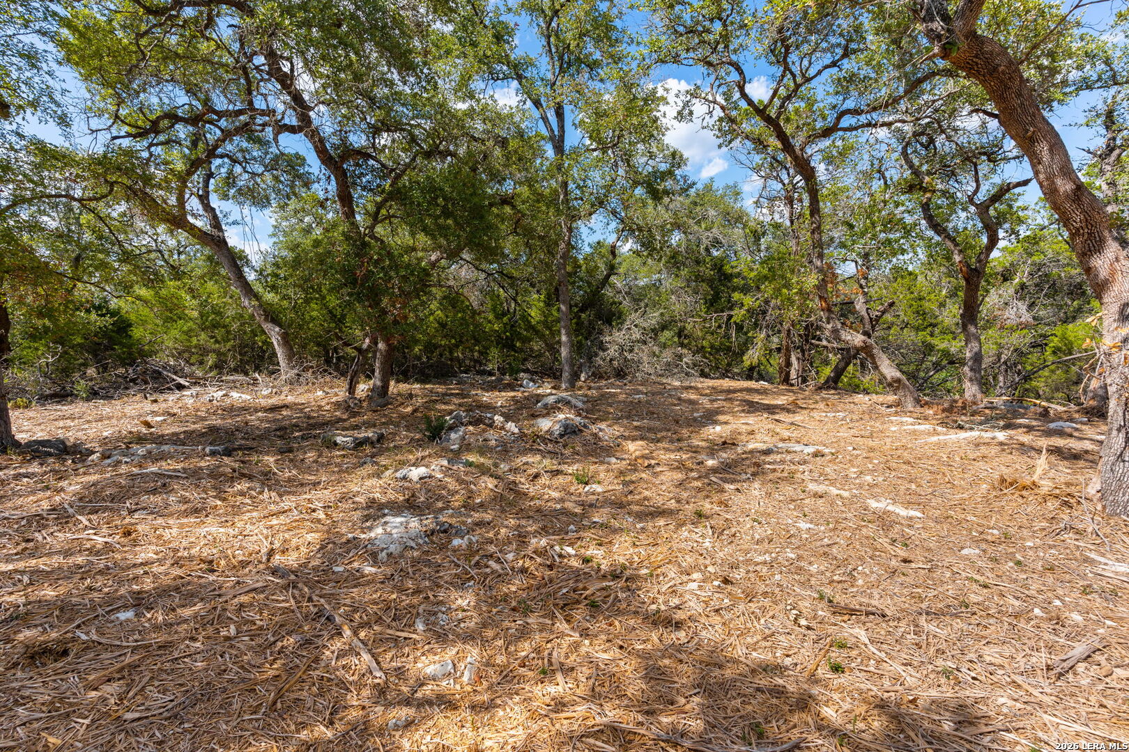1468 Stahlman New Braunfels TX 78132