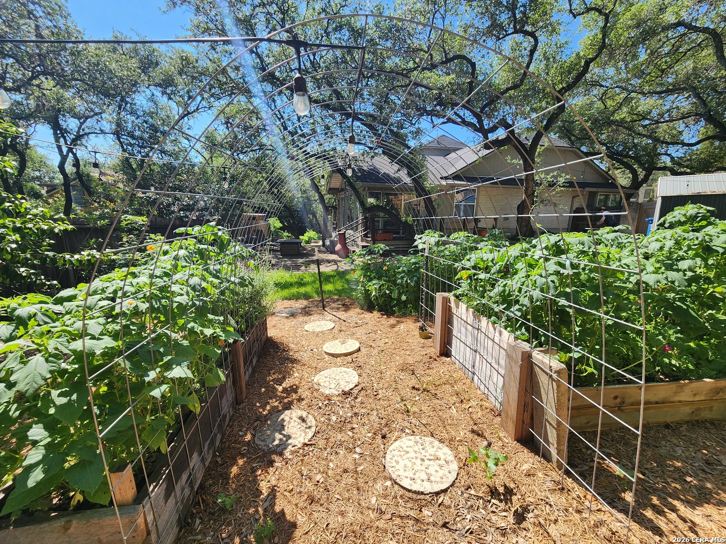 11242 Whisper Spring Drive San Antonio TX 78230