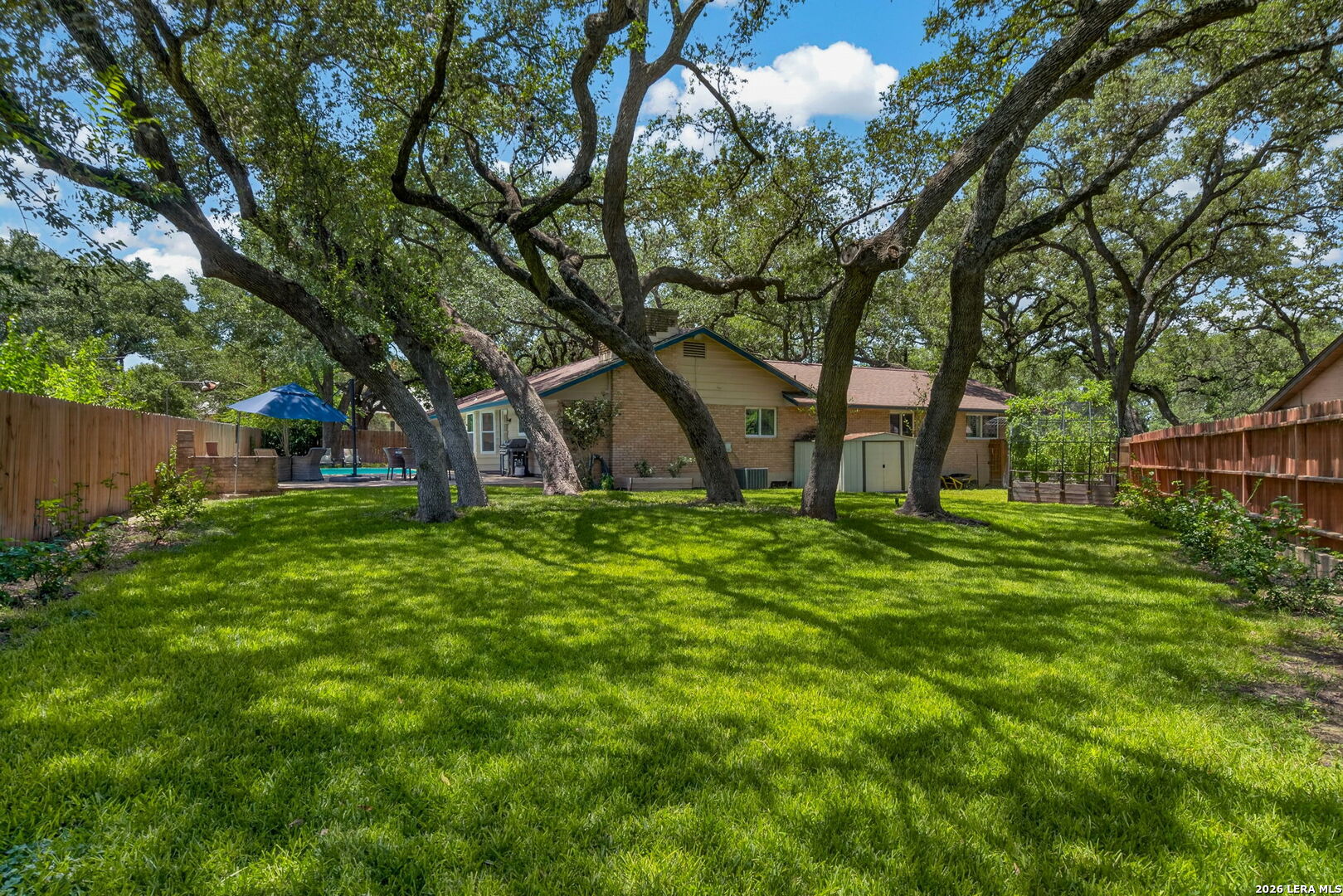 834 Firefly San Antonio TX 78216