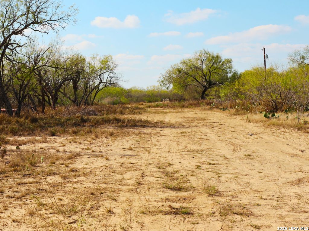 0 3rd Street Christine TX 78026