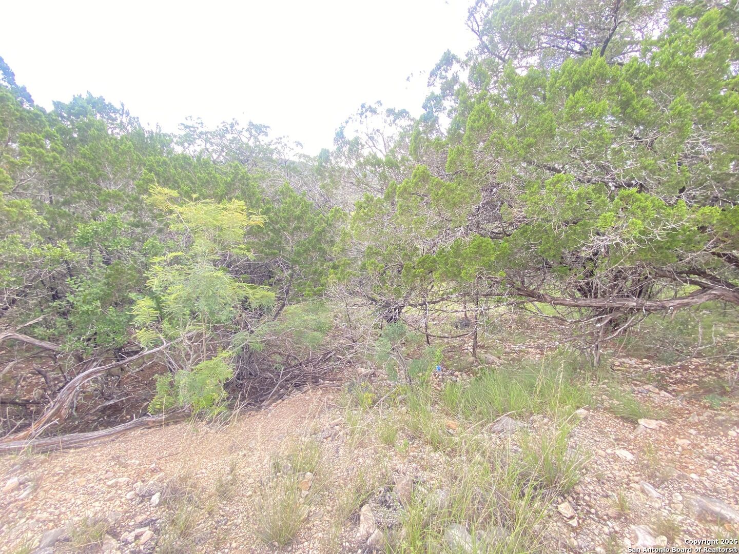 000 Cat Claw Mountain Concan TX 78838