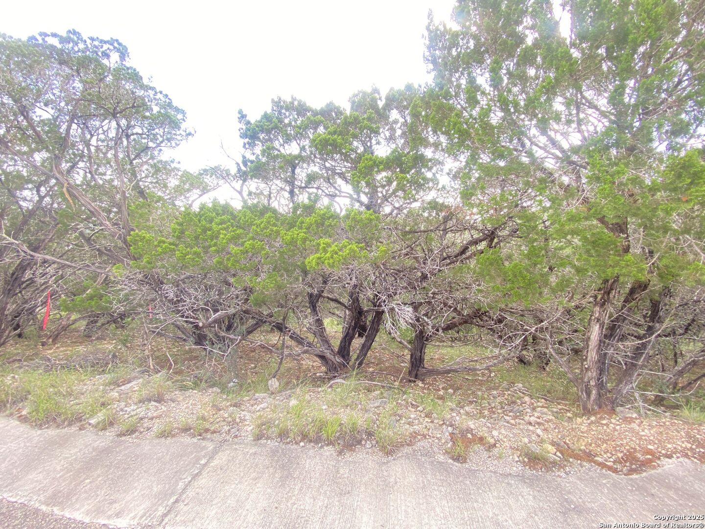 000 Cat Claw Mountain Concan TX 78838