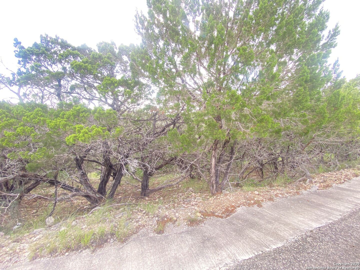 000 Cat Claw Mountain Concan TX 78838