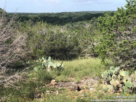 Lot 83 County Road 243 Hondo TX 78861