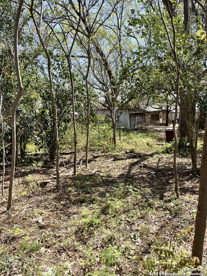 San Antonio TX 78204