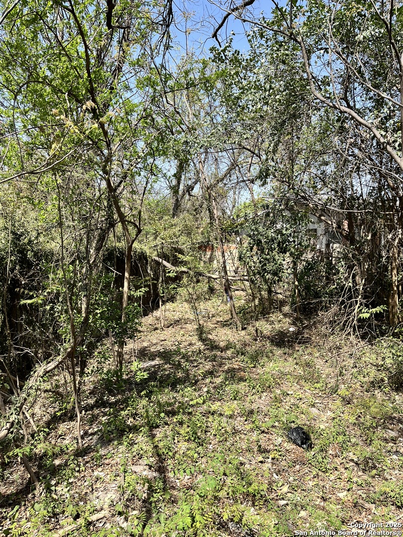 San Antonio TX 78204