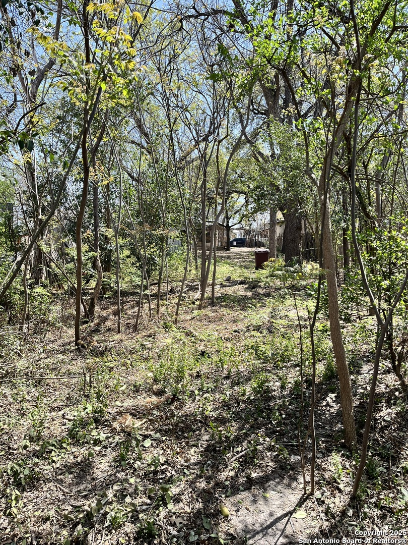 San Antonio TX 78204