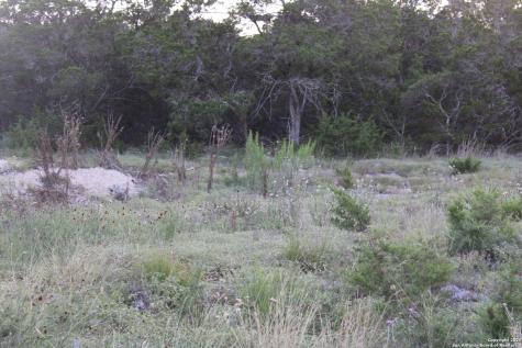 2025 Fuller Drive Canyon Lake TX 78133