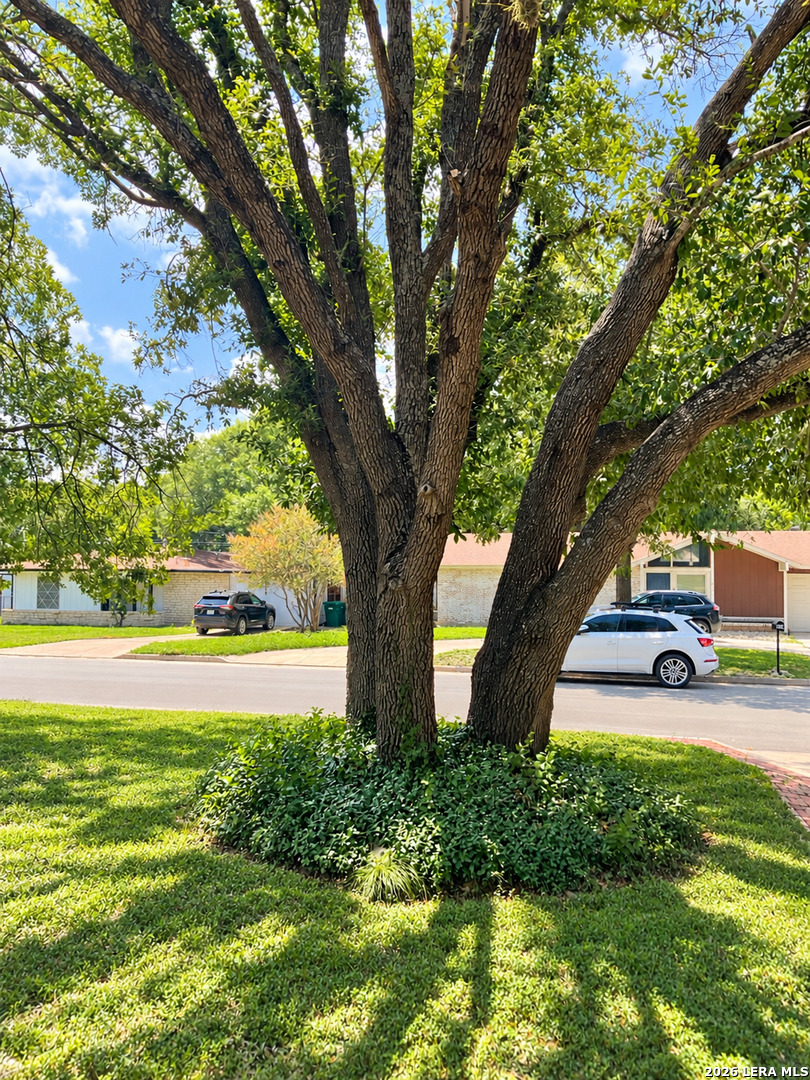 219 Shin Oak Drive Live Oak TX 78233
