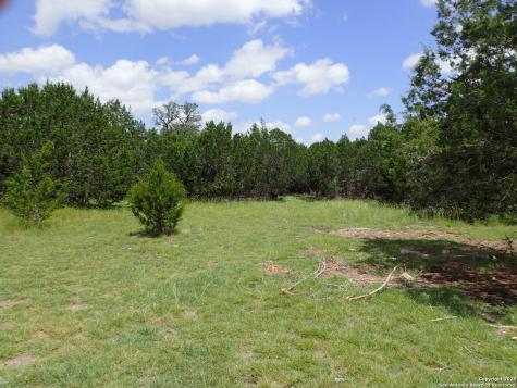 21 Tracie Lakehills TX 78063