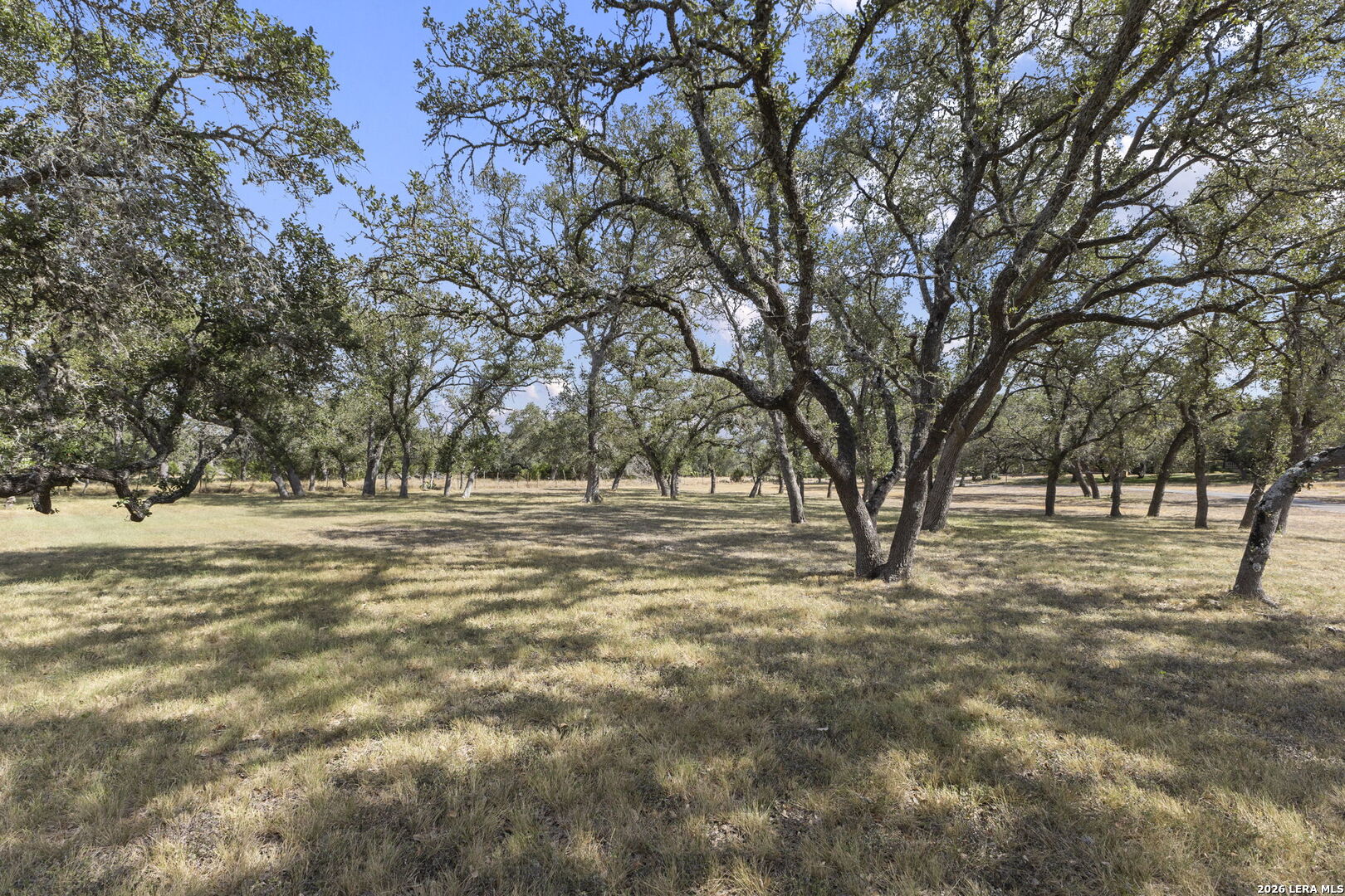 4708 W Ammann Road Bulverde TX 78163