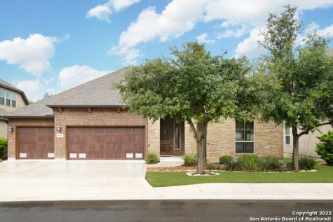 18619 Wild Onion San Antonio TX 78258