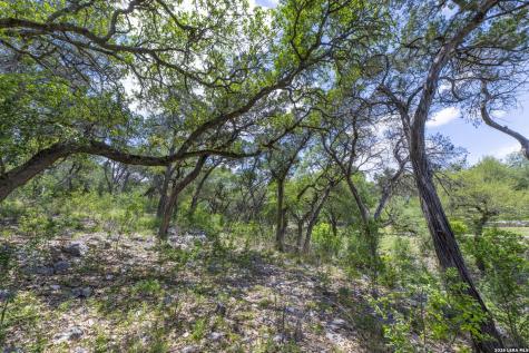 1638 Angolo New Braunfels TX 78132