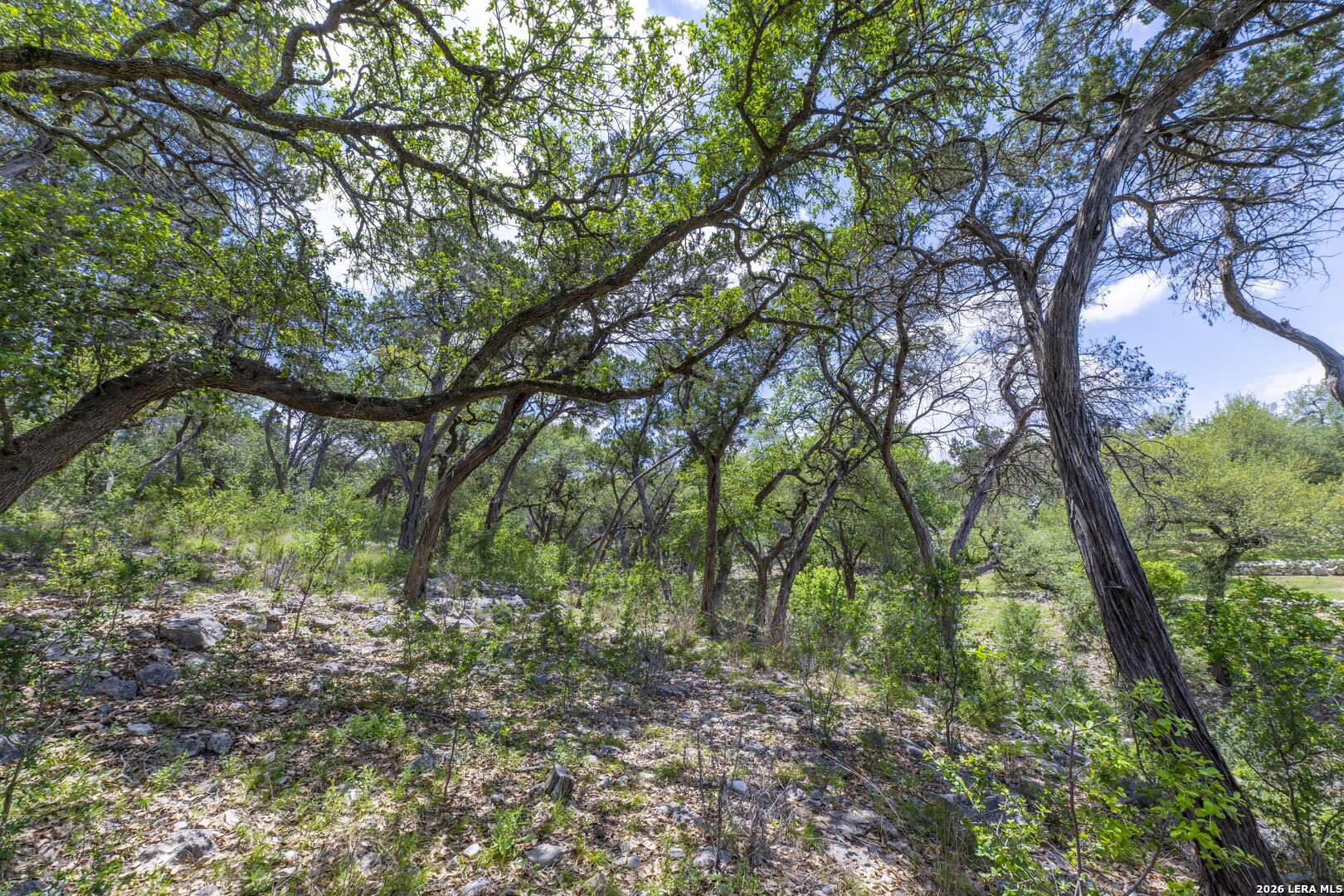1638 Angolo New Braunfels TX 78132