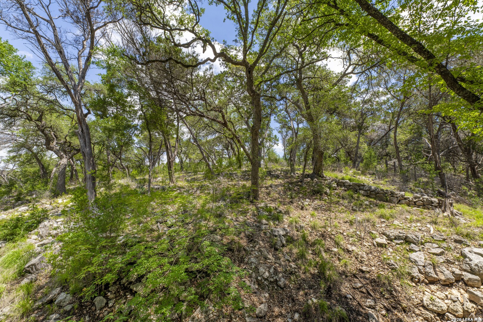 1638 Angolo New Braunfels TX 78132