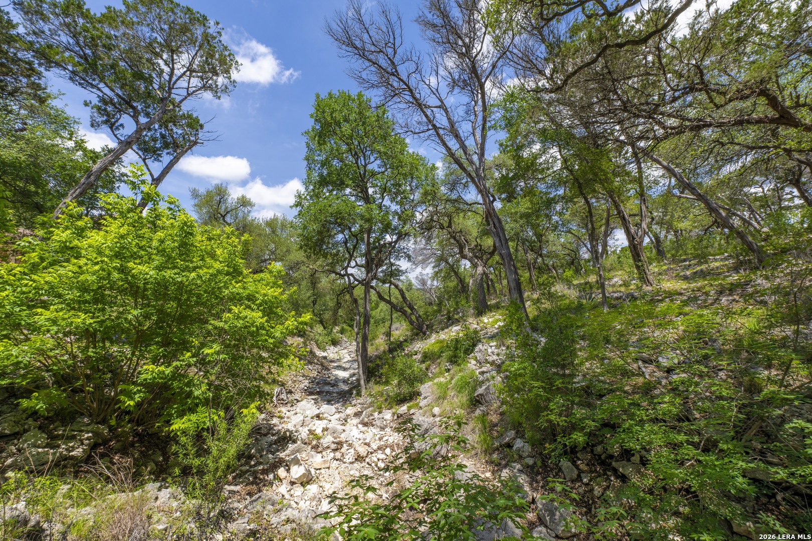 1638 Angolo New Braunfels TX 78132