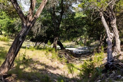 174 Cedar Rock Trail Hunt TX 78024