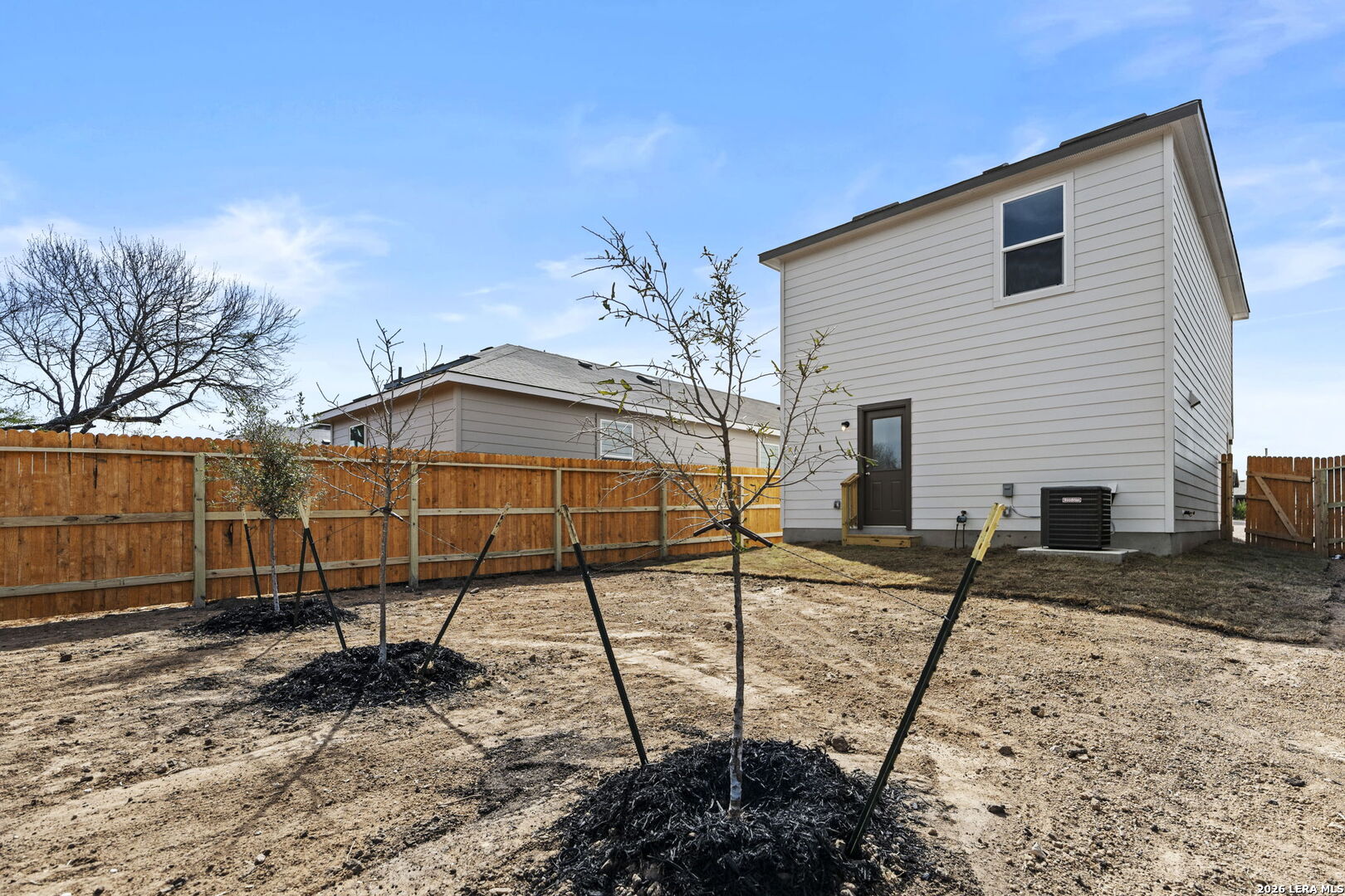 14706 Candelabra Cactus San Antonio TX 78221