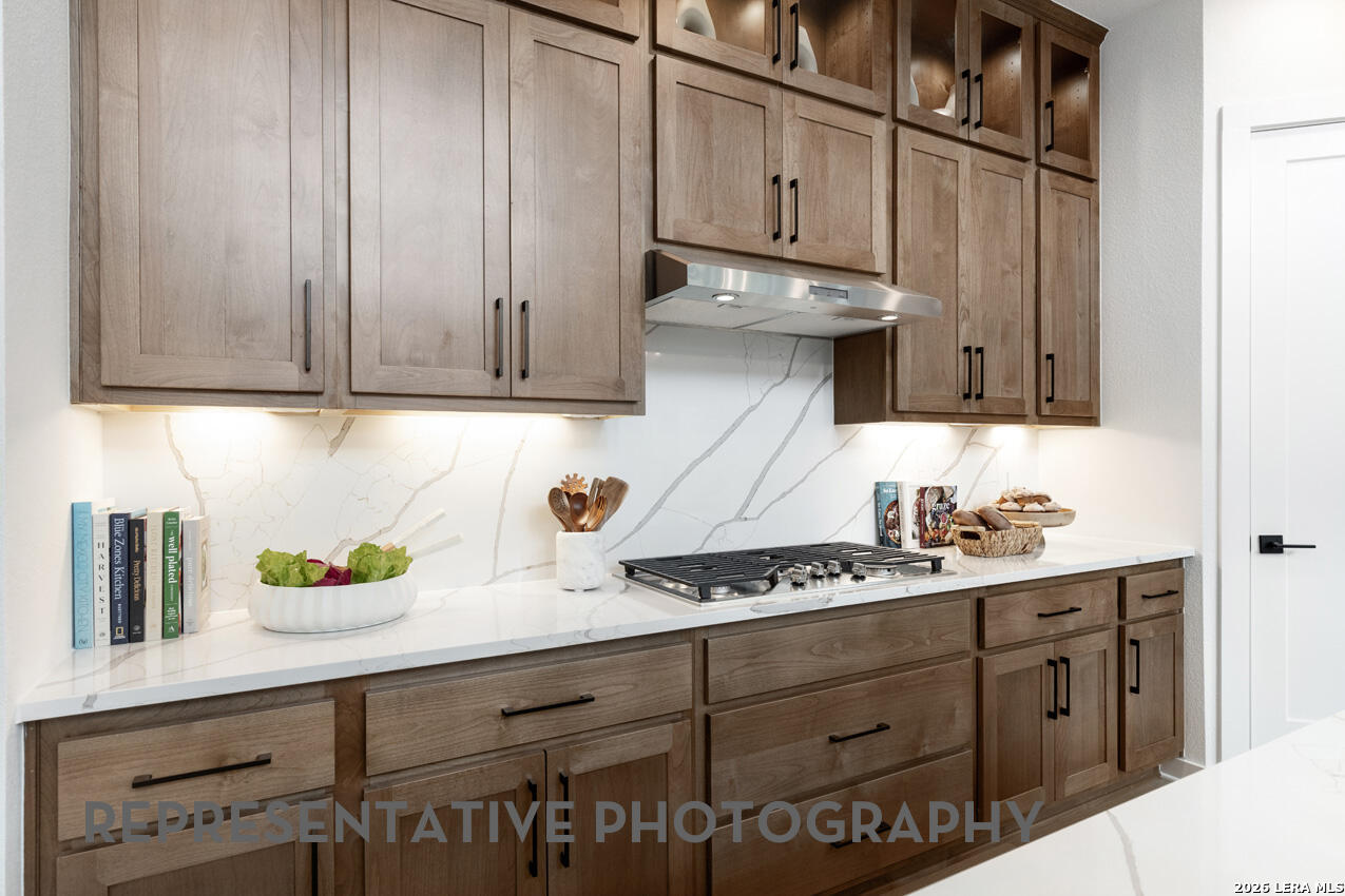 113 Gazelle Point Cibolo TX 78108