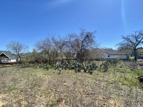 117 Red Oak Trail La Vernia TX 78121