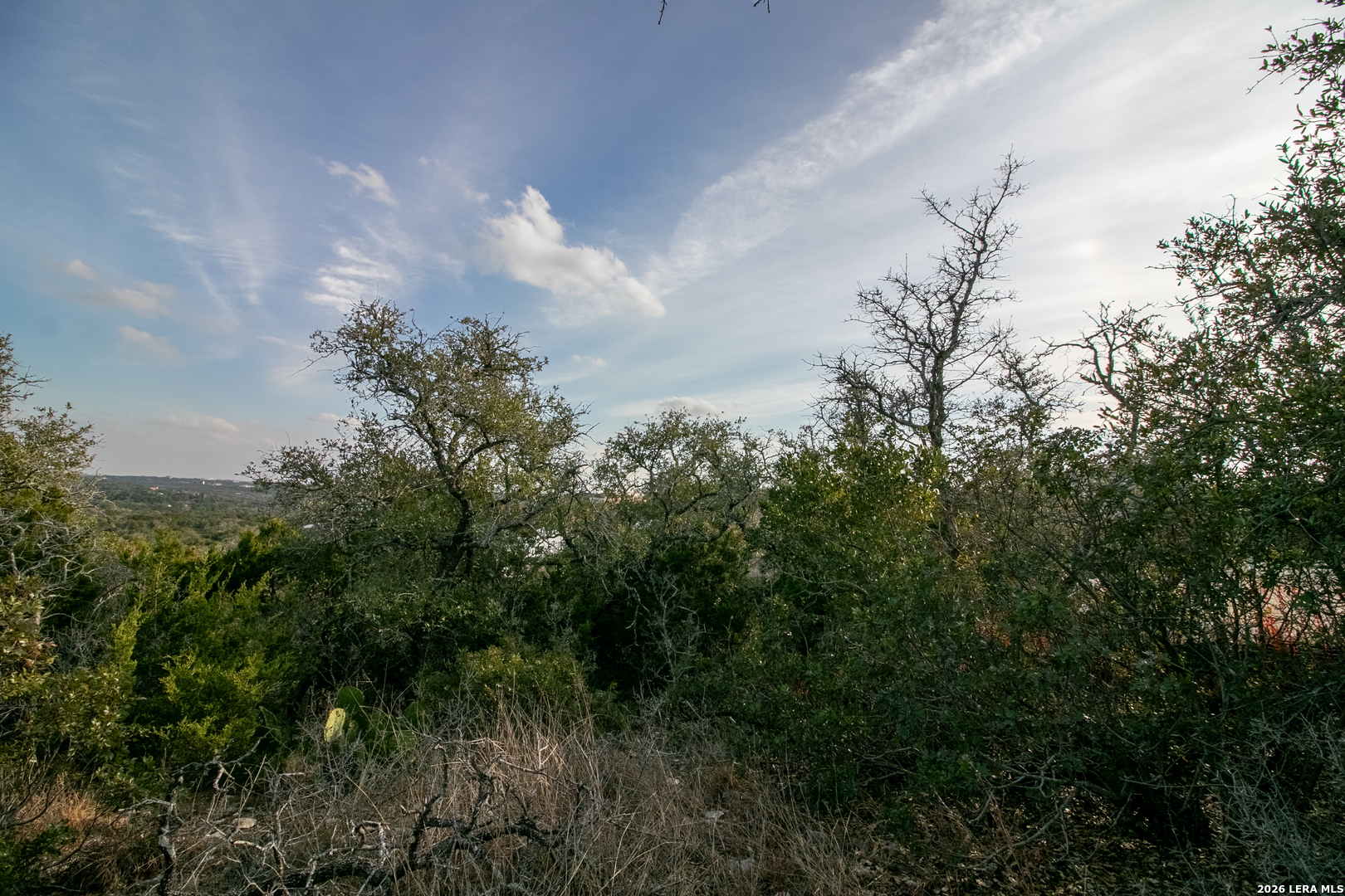 10028 Cates Creek San Antonio TX 78255