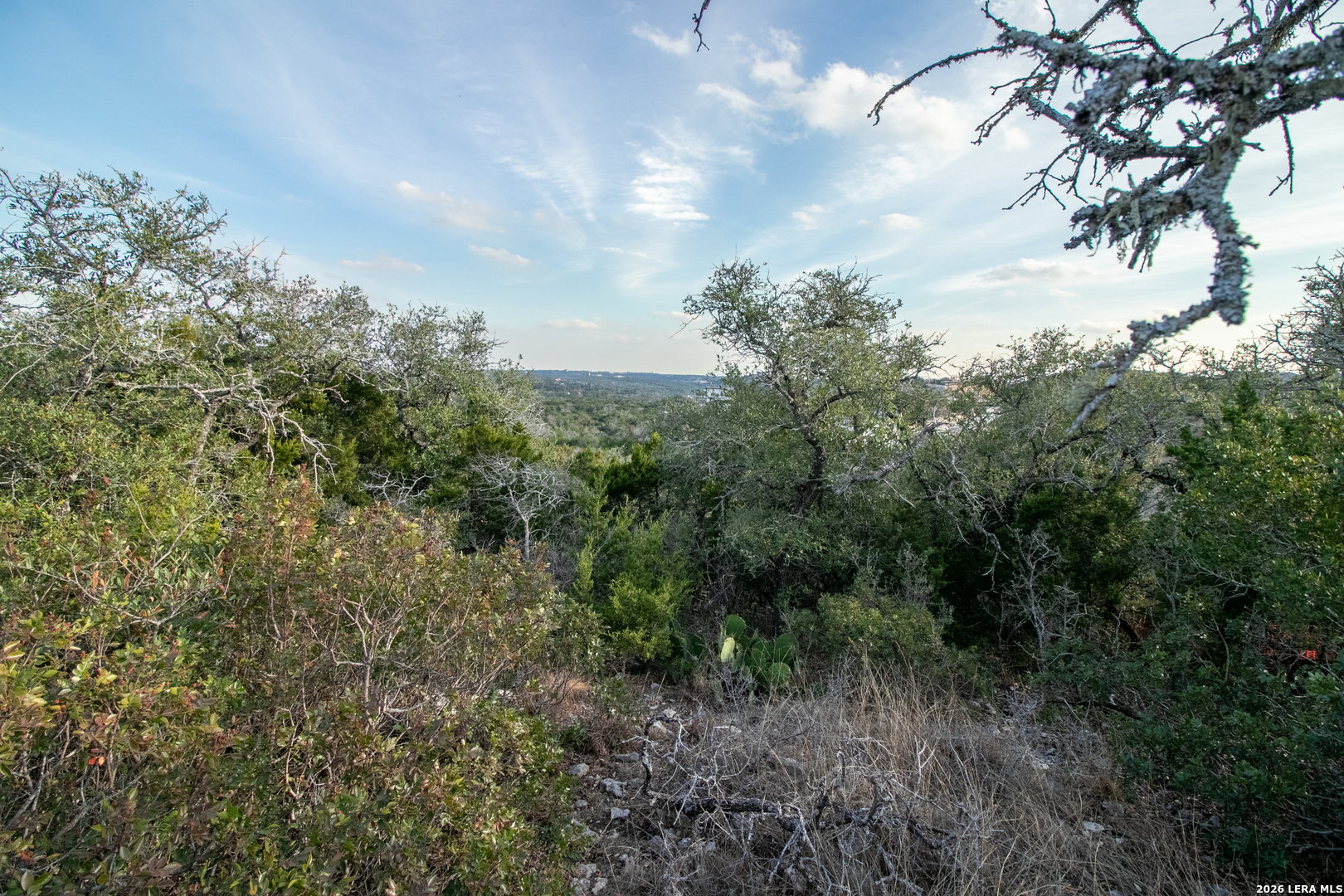 10028 Cates Creek San Antonio TX 78255
