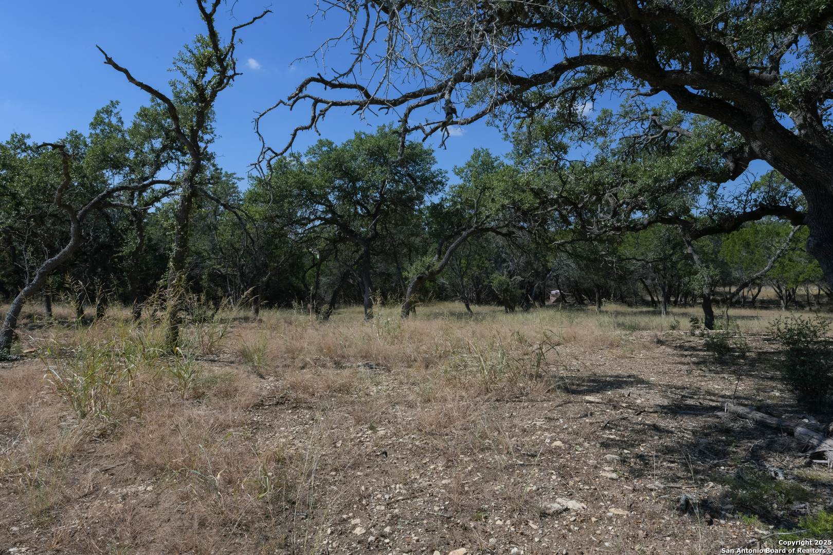 26530 Fawn Mountain Boerne TX 78015