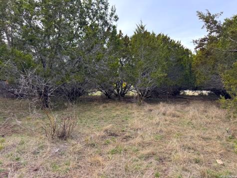 1645 Blueridge Canyon Lake TX 78133