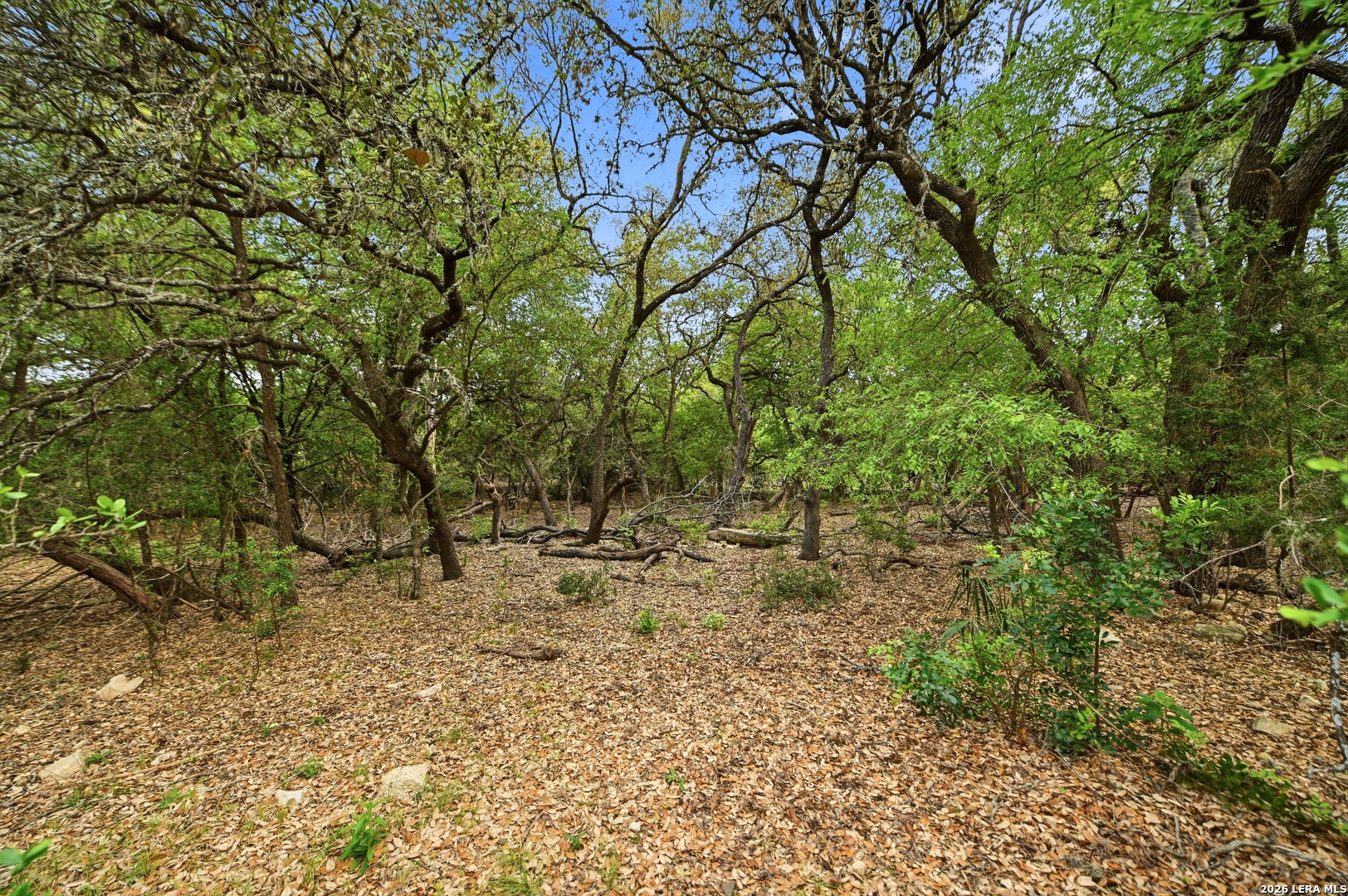 15 Villa Verde San Antonio TX 78230