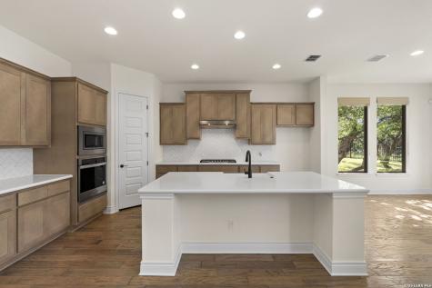 1482 Lyme Park Bulverde TX 78163