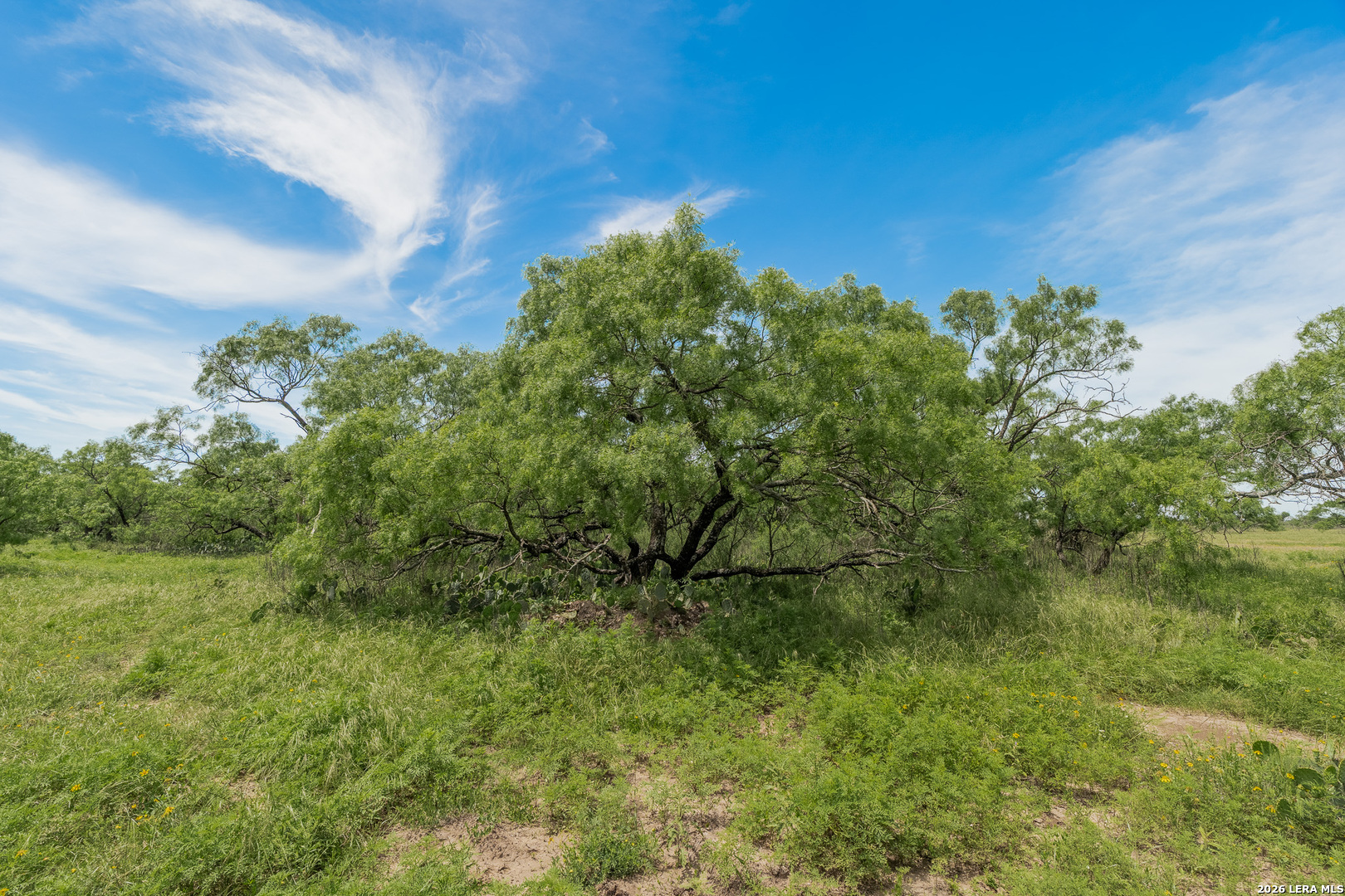 9259 Turkey Barn Lane Menard TX 76859