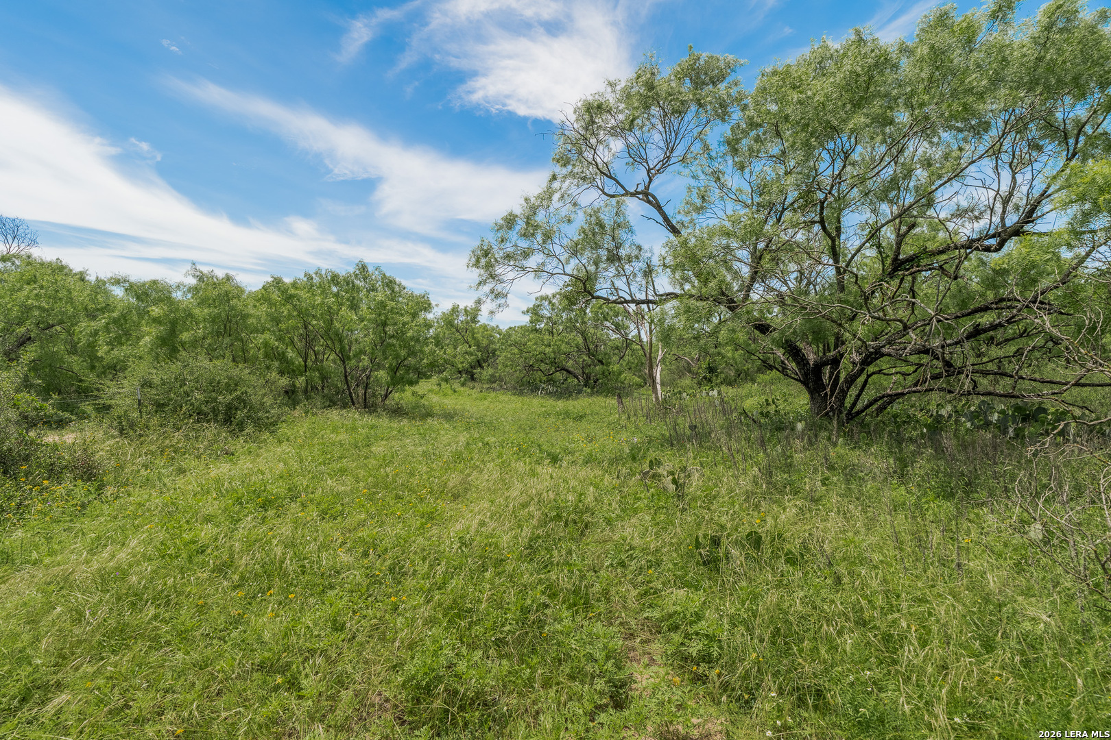 9259 Turkey Barn Lane Menard TX 76859