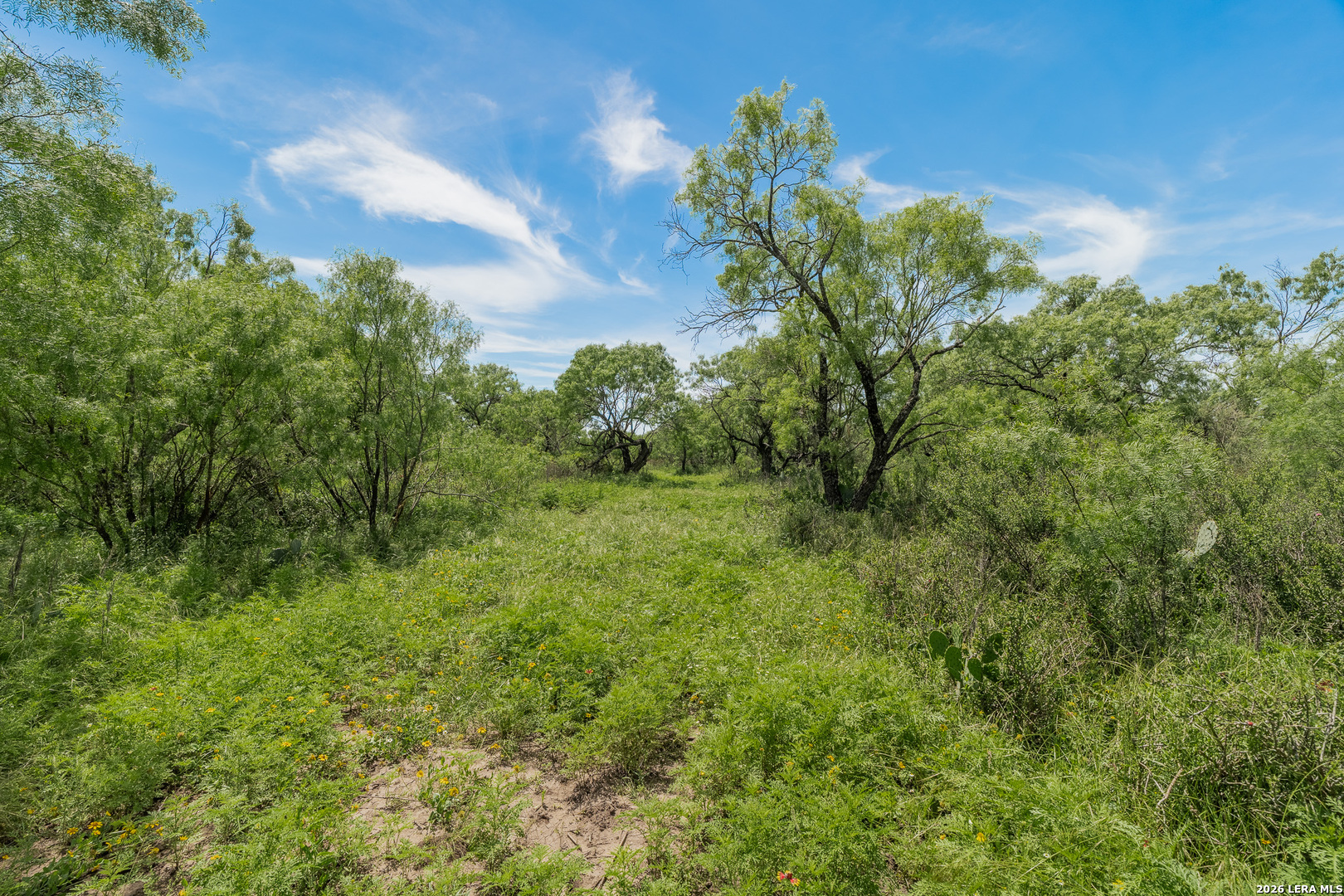 9259 Turkey Barn Lane Menard TX 76859