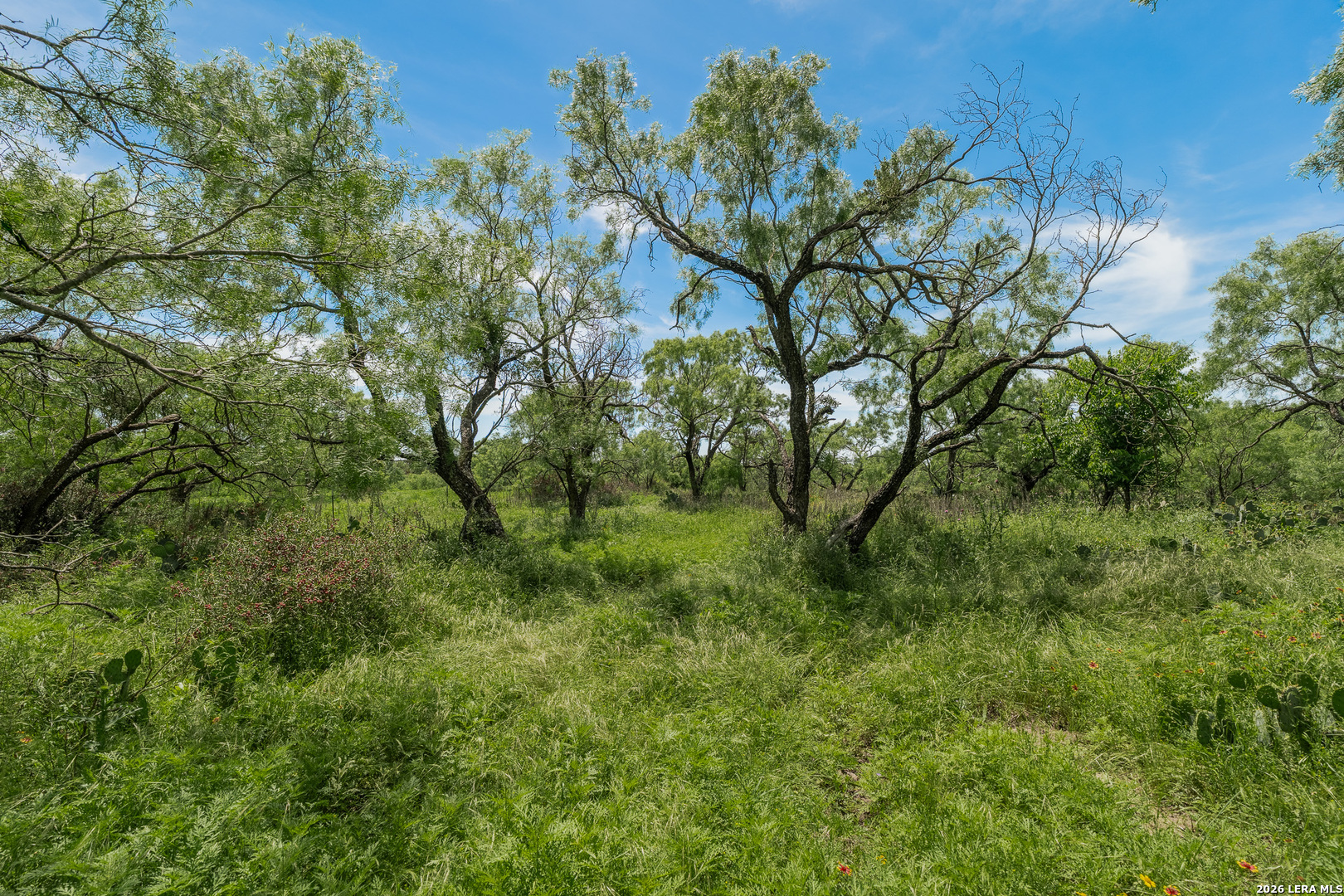 9259 Turkey Barn Lane Menard TX 76859