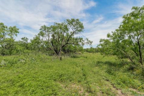 9259 Turkey Barn Lane Menard TX 76859