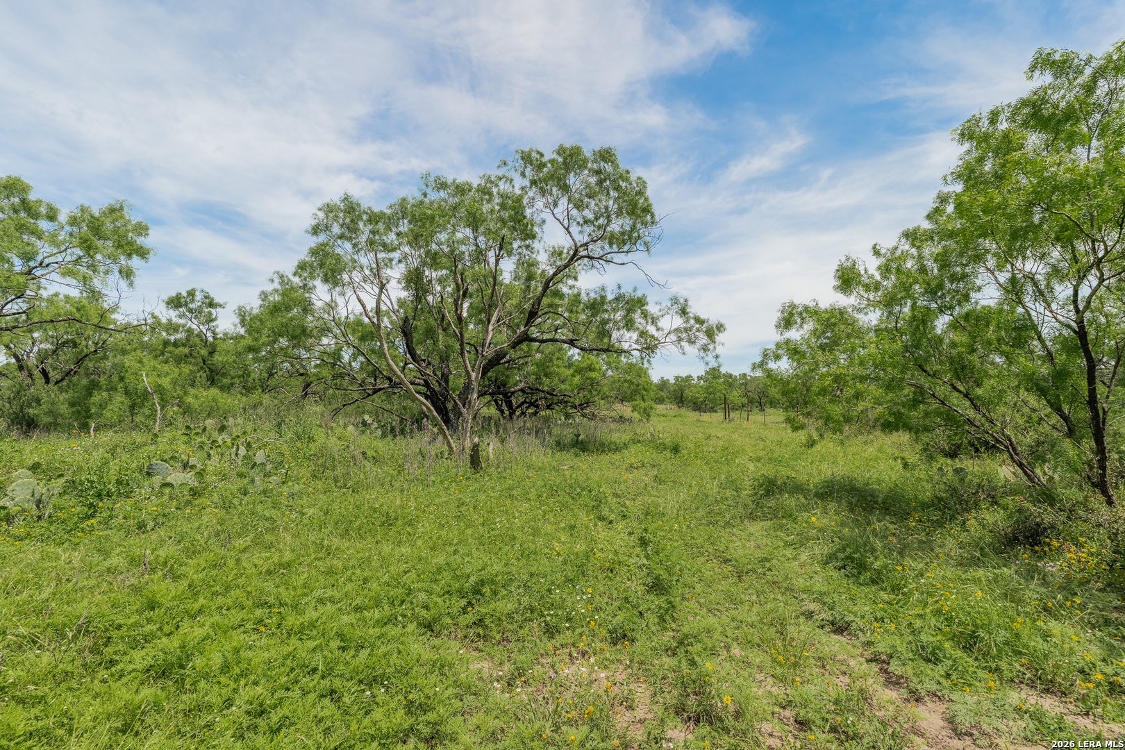 9259 Turkey Barn Lane Menard TX 76859