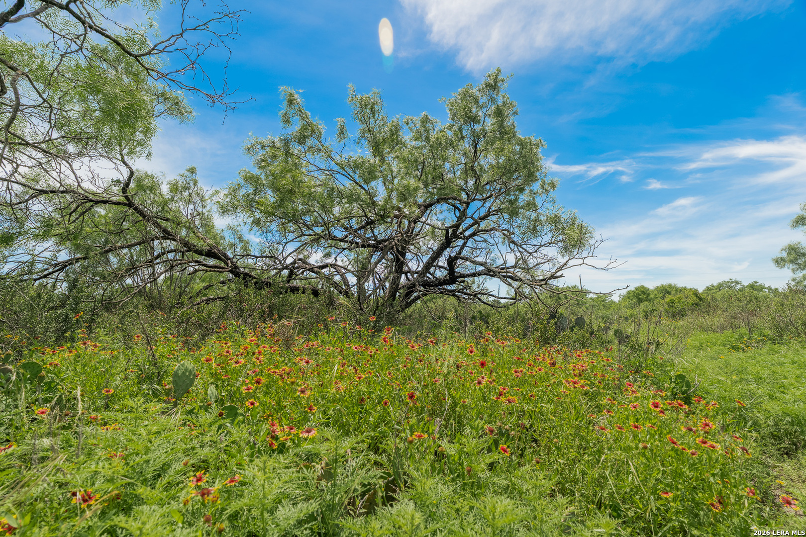9259 Turkey Barn Lane Menard TX 76859