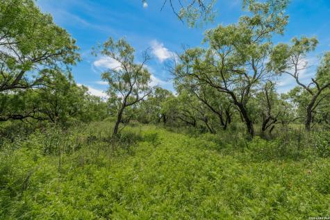 9259 Turkey Barn Lane Menard TX 76859