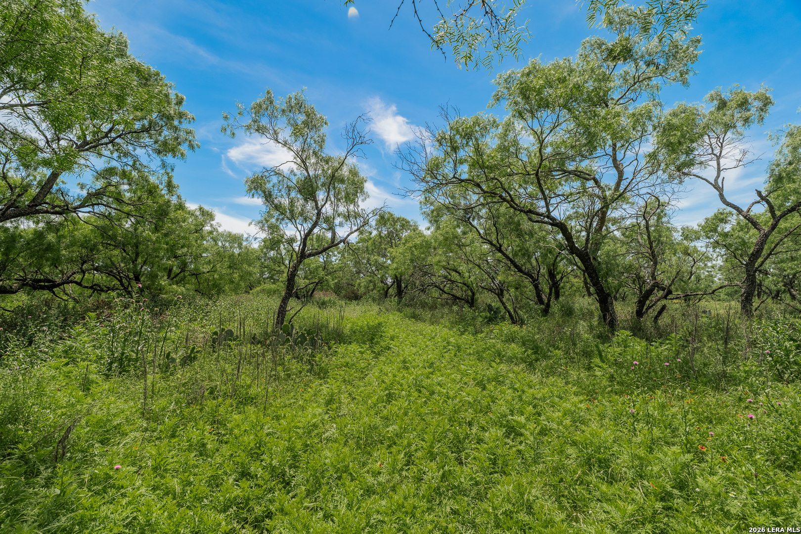 9259 Turkey Barn Lane Menard TX 76859