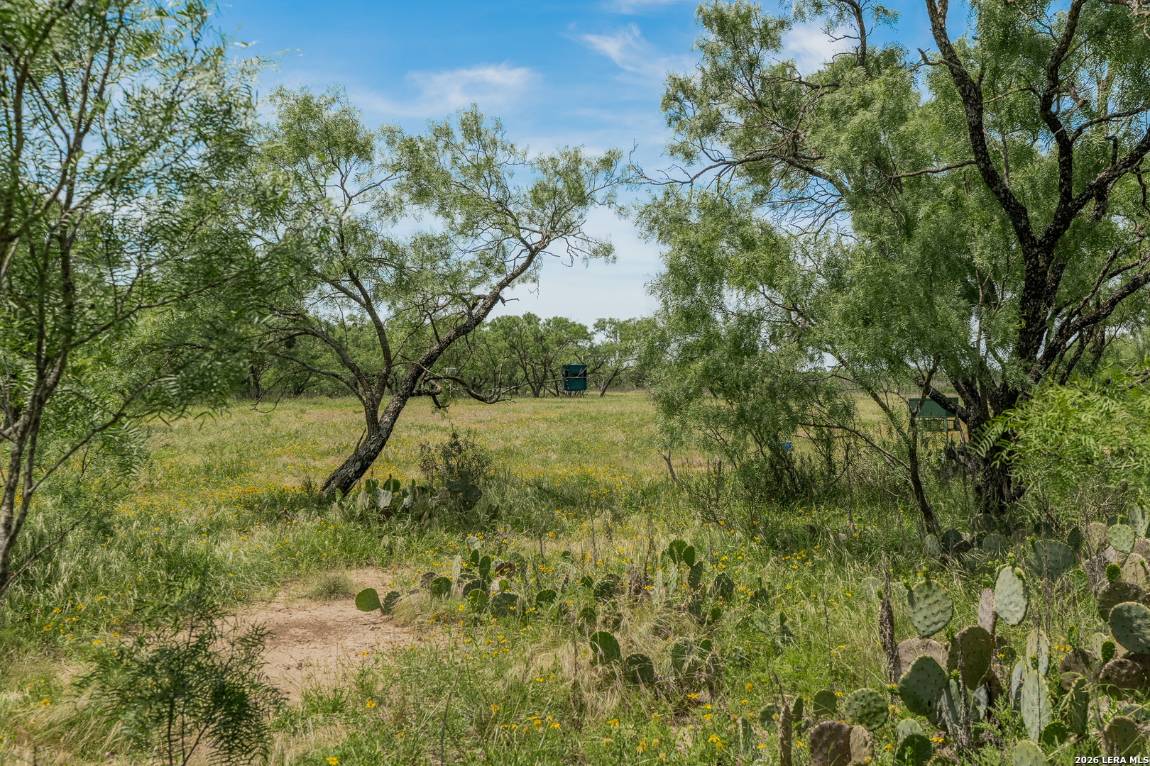 9259 Turkey Barn Lane Menard TX 76859