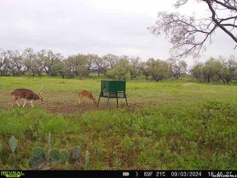 9259 Turkey Barn Lane Menard TX 76859