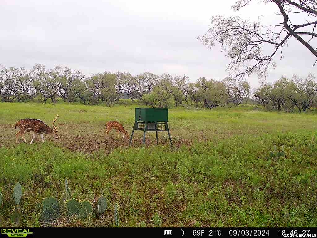 9259 Turkey Barn Lane Menard TX 76859
