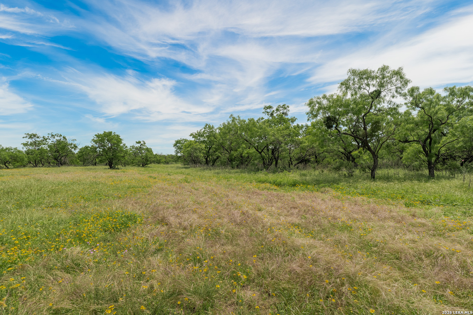 9259 Turkey Barn Lane Menard TX 76859