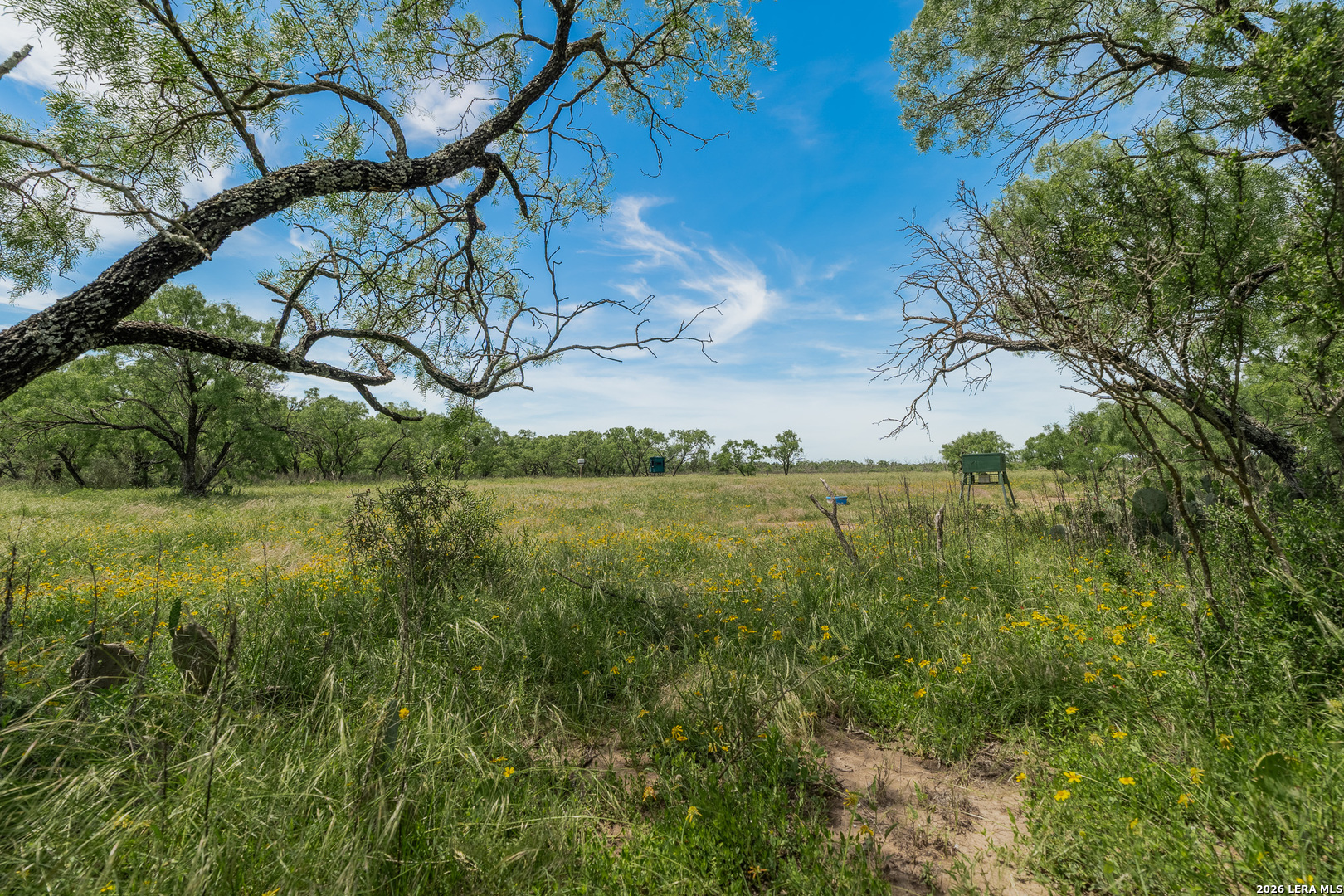 9259 Turkey Barn Lane Menard TX 76859