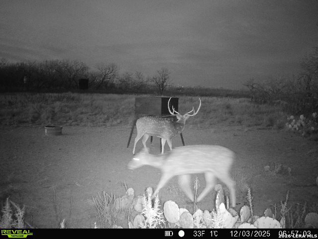 9259 Turkey Barn Lane Menard TX 76859