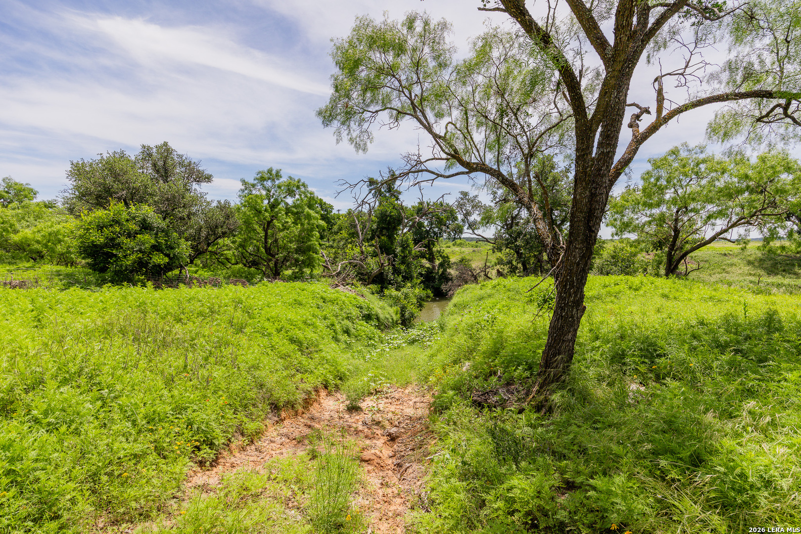 9259 Turkey Barn Lane Menard TX 76859