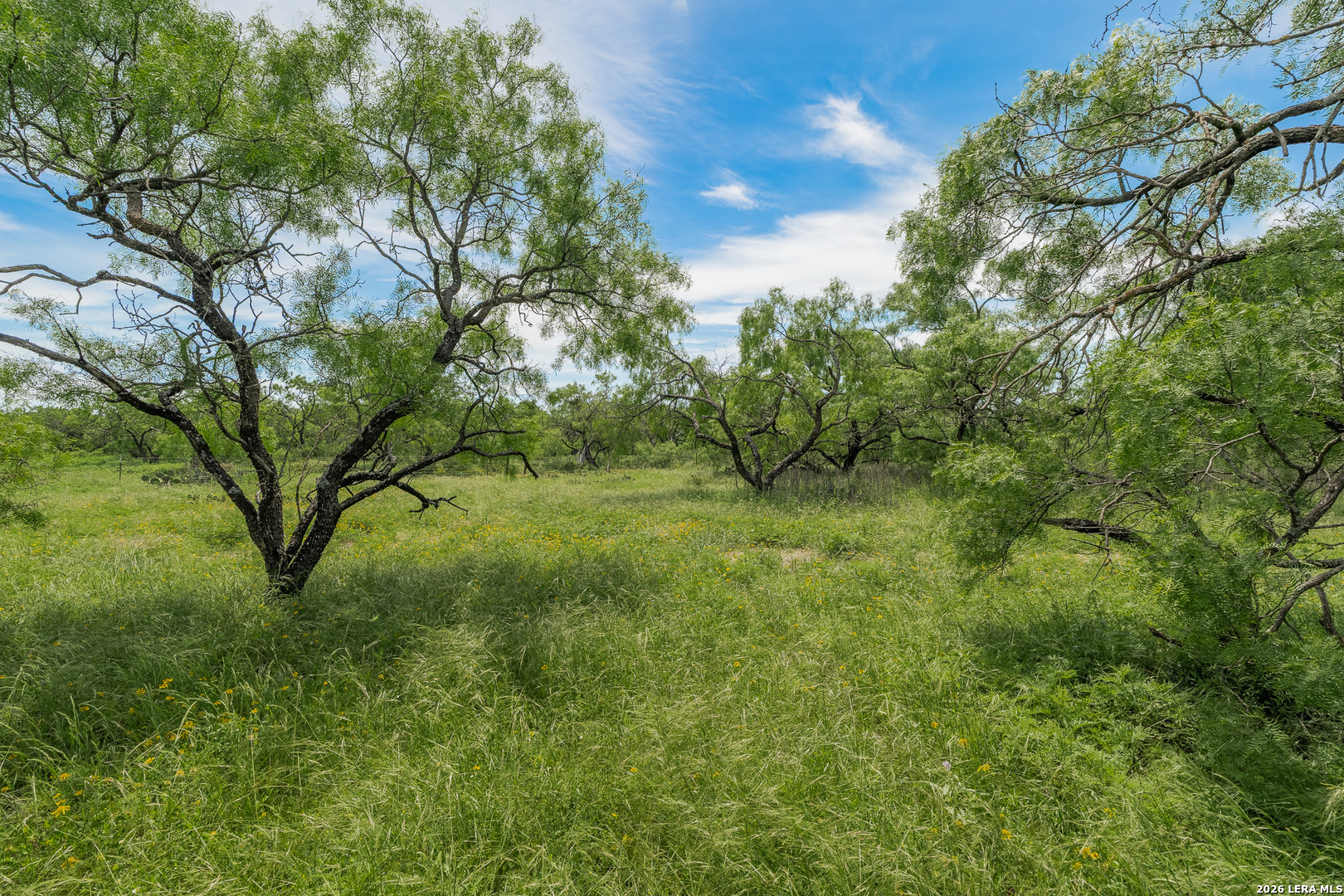 9259 Turkey Barn Lane Menard TX 76859