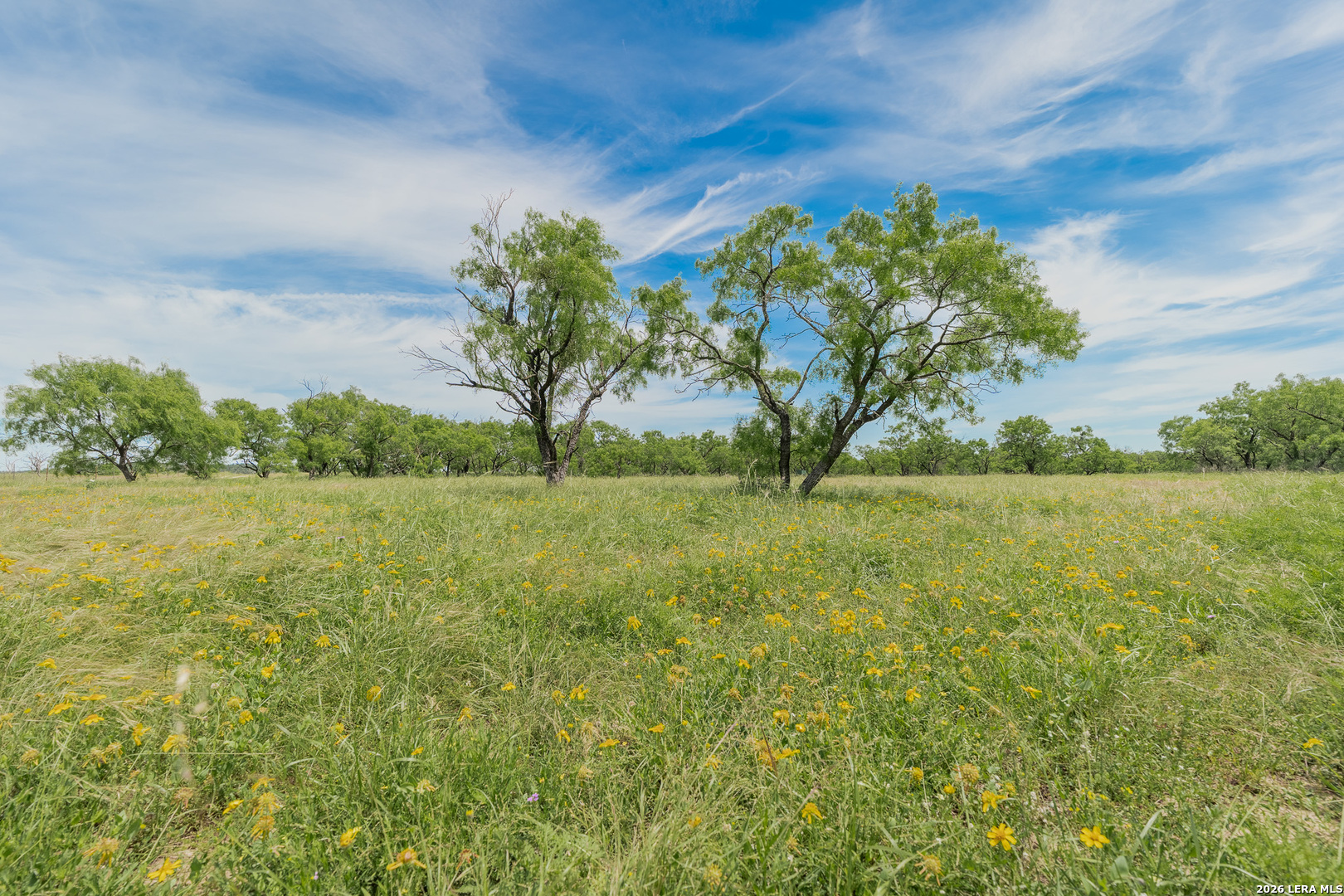9259 Turkey Barn Lane Menard TX 76859